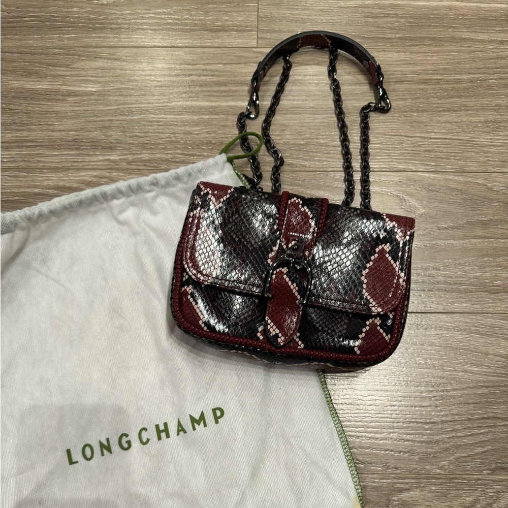 Longchamp Bag - Picture 1 of 10